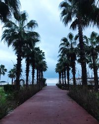 Empty road along palm trees against sky