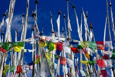 Low angle view of multi colored prayer flags hanging against blue sky