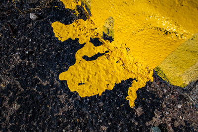 High angle view of road