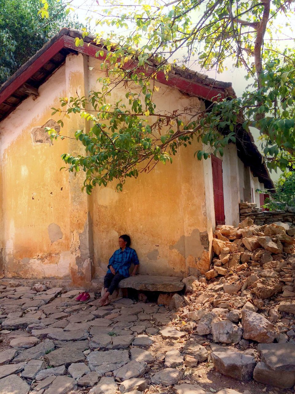 architecture, built structure, building exterior, plant, house, flower, steps, stone wall, wall - building feature, rear view, full length, lifestyles, leaf, day, growth, leisure activity, outdoors, steps and staircases