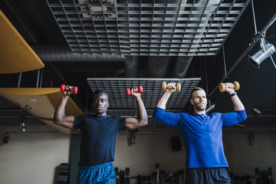 Muscular male athletes exercising together with dumbbells in gym