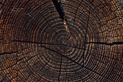 Full frame shot of tiled floor