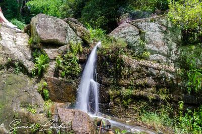 View of waterfall in forest