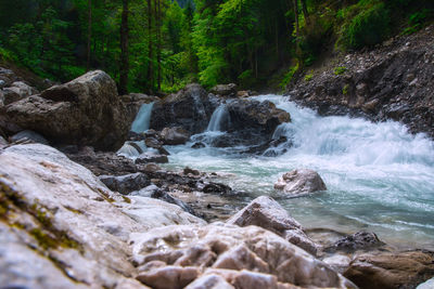 Scenic view of waterfall in forest