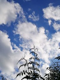 Low angle view of blue sky