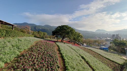 High angle view of townscape against sky