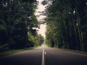 Empty road along trees