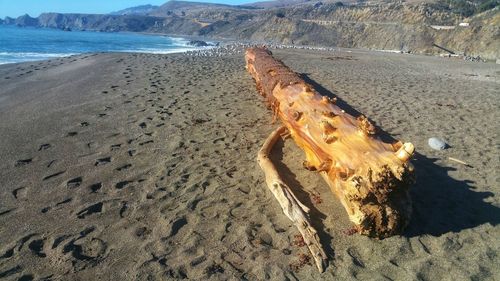 High angle view of driftwood log on beach