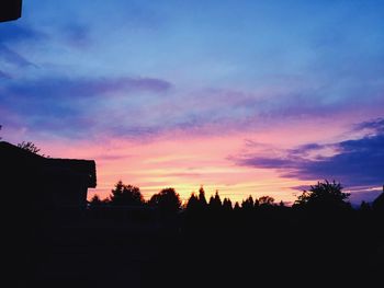 Silhouette of trees at sunset