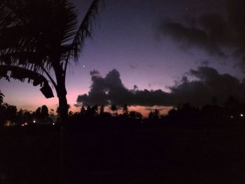 Silhouette palm trees at dusk