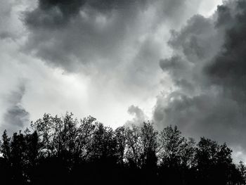 Low angle view of silhouette trees against sky