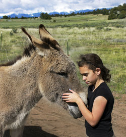 Side view of girl with donkey on field