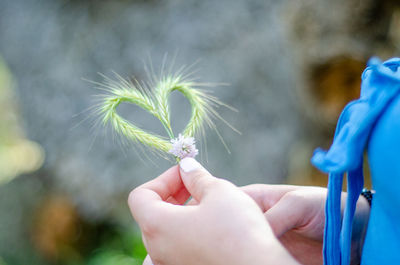 Close-up of hand holding plant