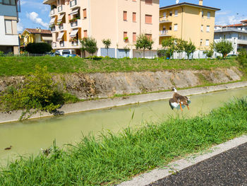 Man in park by buildings in city