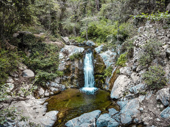 Waterfall in forest