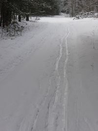 Snow covered landscape