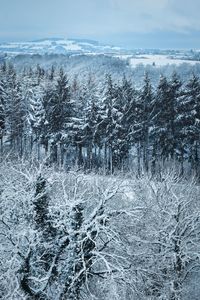 Cold snow countryside - aveyron france