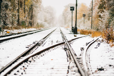 Snow covered railroad tracks amidst trees