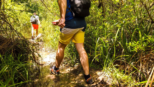 Low section of people walking in forest