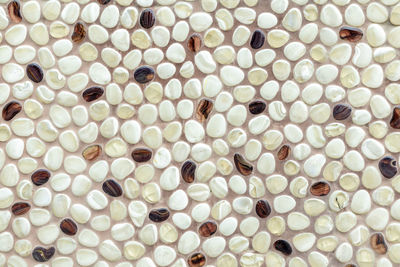 Background of naturally polished white and brown pebbles.