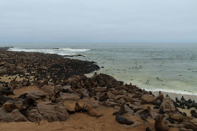 Rocks on beach against sky