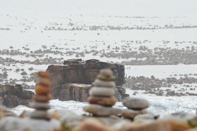 Close-up of rocks on beach