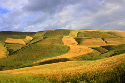 Scenic view of green landscape against sky