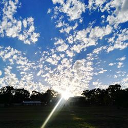 Sunlight streaming through trees on field