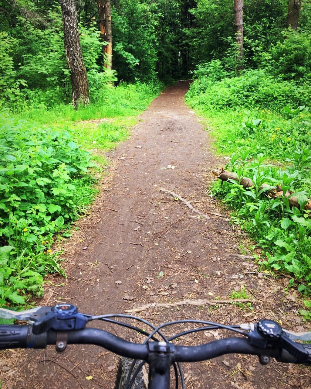 BICYCLE ON ROAD