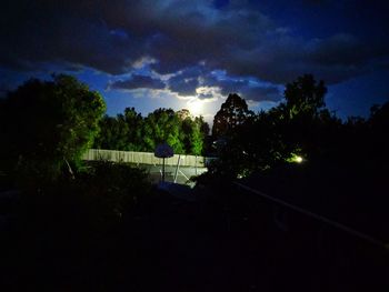 Silhouette trees against sky at night