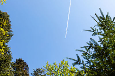 Low angle view of vapor trail against clear sky