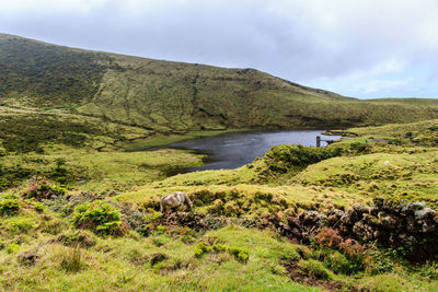 Scenic view of landscape against sky