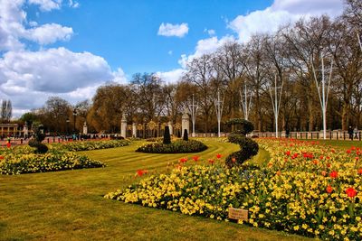 View of flowering plants on field against trees