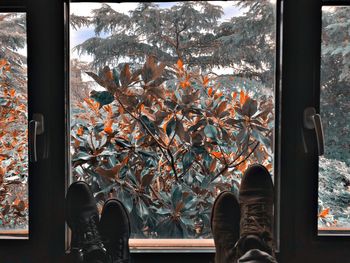 Low section of people with feet up on window