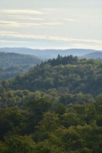 High angle view of trees on landscape against sky