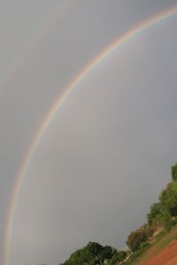 Rainbow over trees against sky