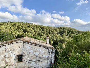 House amidst trees and plants against sky