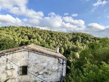 House amidst trees and plants against sky