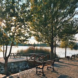 Empty bench in park
