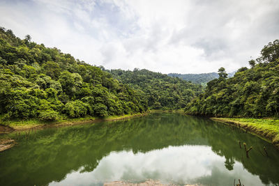 Scenic view of lake by trees against sky