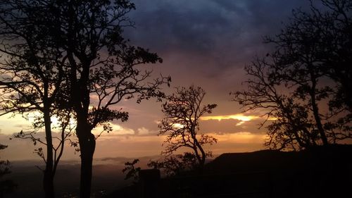 Silhouette trees against dramatic sky during sunset