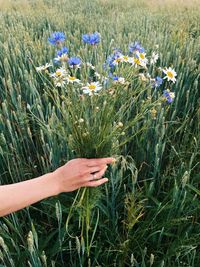 Female holding bouquet of summer flowers