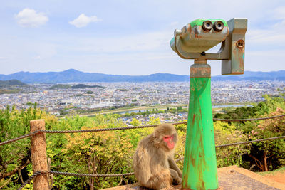 Monkey sitting on railing against mountain