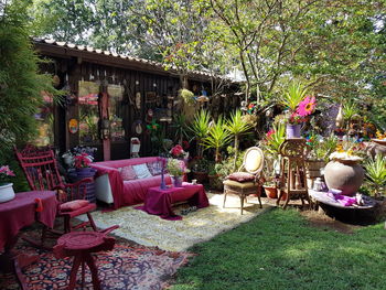 Chairs and table against trees