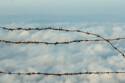 Low angle view of barbed wire against sky