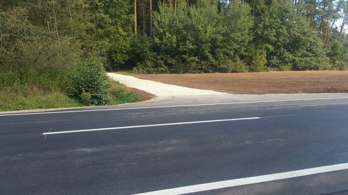 Road by trees in city