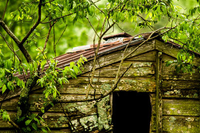 Built structure with trees in background