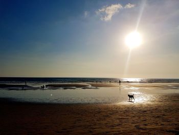 Scenic view of beach against sky with dog playing the sand.