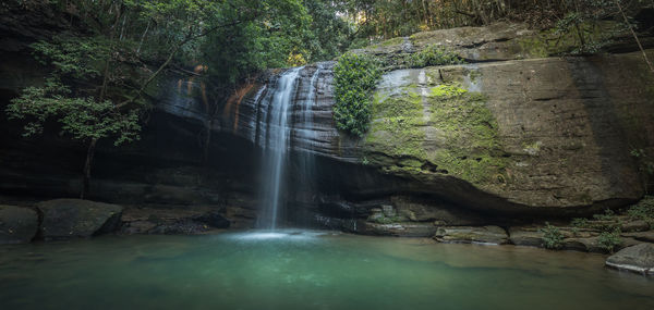 Scenic view of waterfall in forest