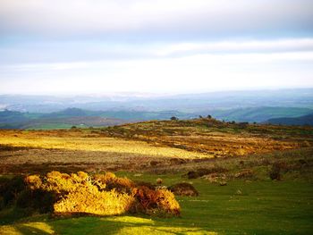 Scenic view of field against sky